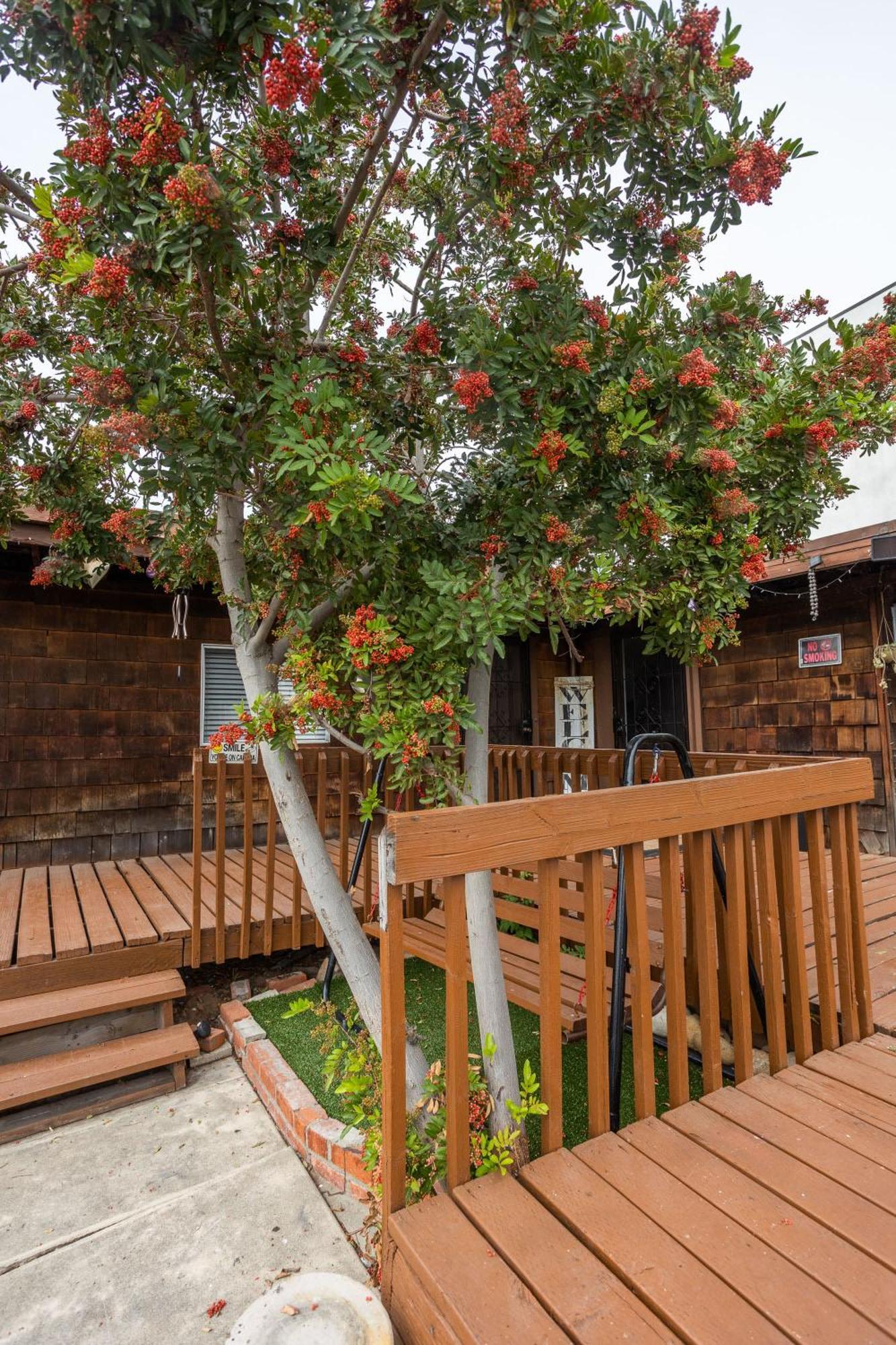 Spacious Guest Suite Amazing Location San Diego Exteriör bild